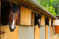 free Dennyloanhead stable construction quotes